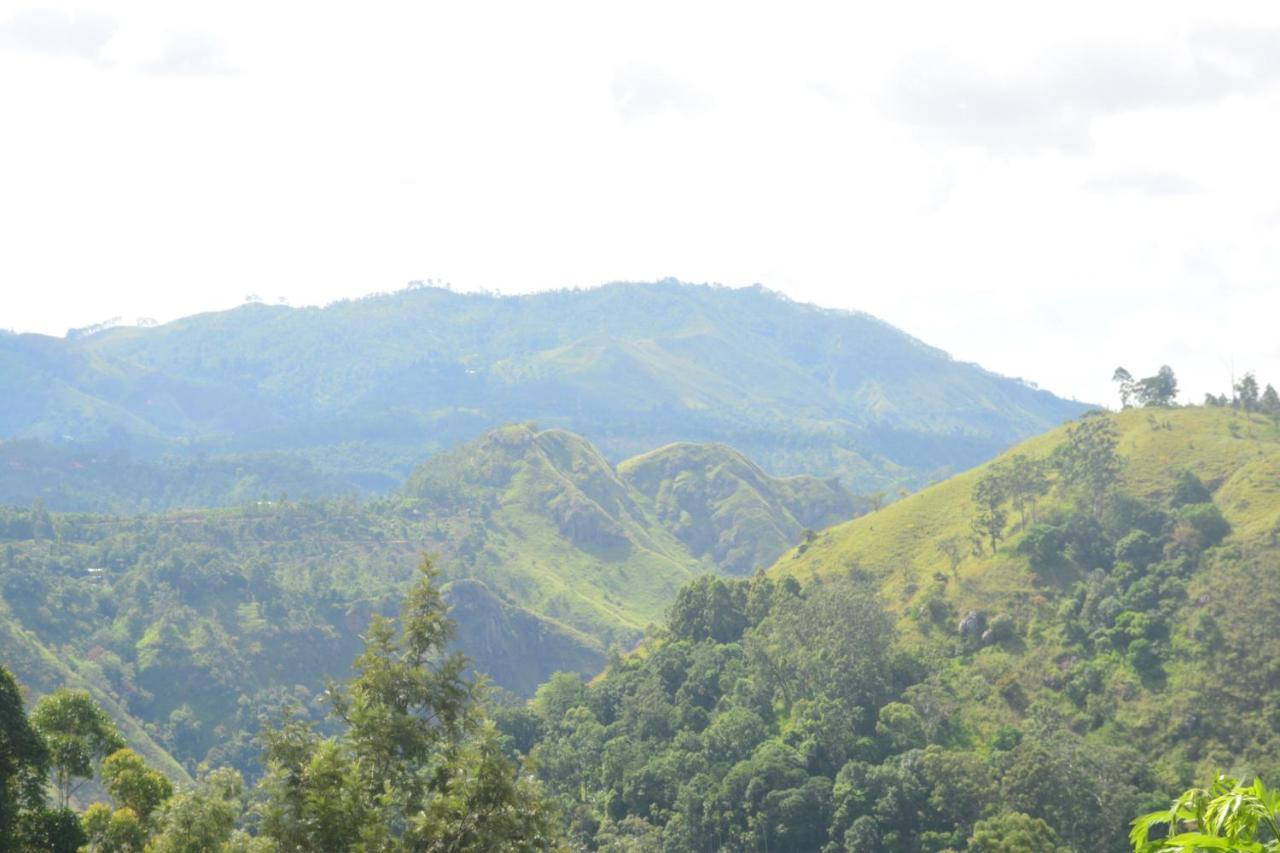 Chill Wood Homestay Ella Exterior foto